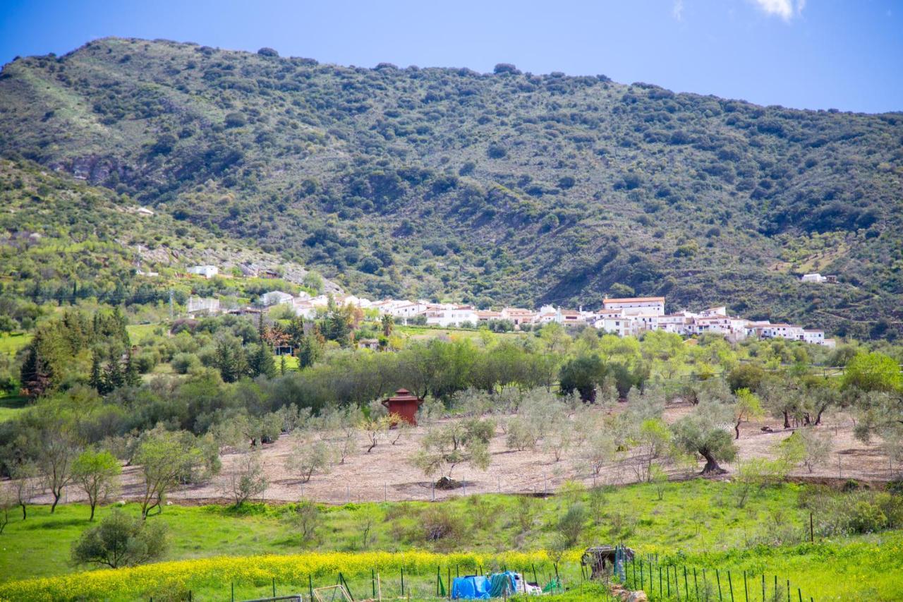 Hotel Rural Inz-Almaraz Jimera de Libar Ngoại thất bức ảnh